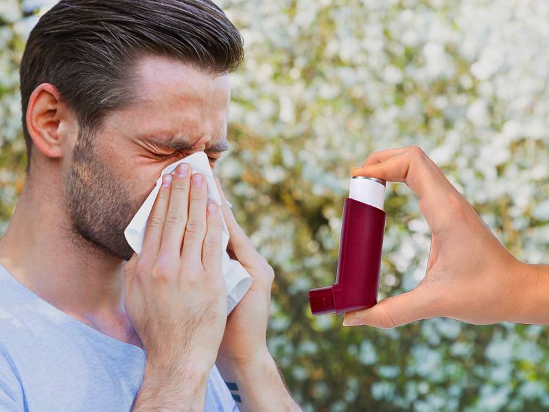 Бронхиальная астма: группа риска, причины и симптомы заболевания. первичная и вторичная профилактика астмы
