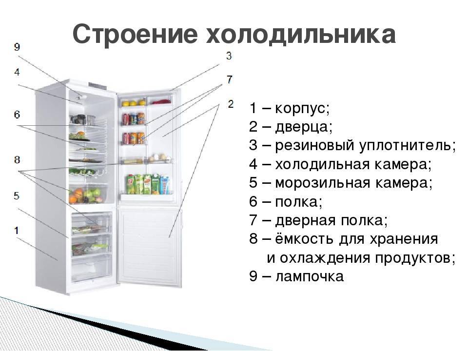 7 лучших холодильников indesit 2022