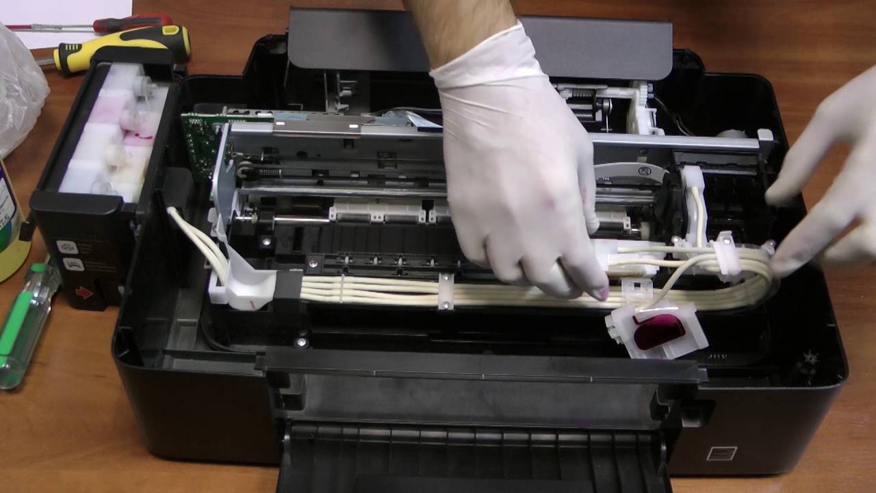 Как почистить печатающую головку и сопла принтера hp: способы очистки, профилактика