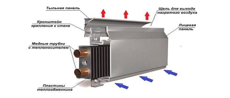 Водяные конвекторы отопления: принцип работы, отличие от радиаторов, критерии выбора