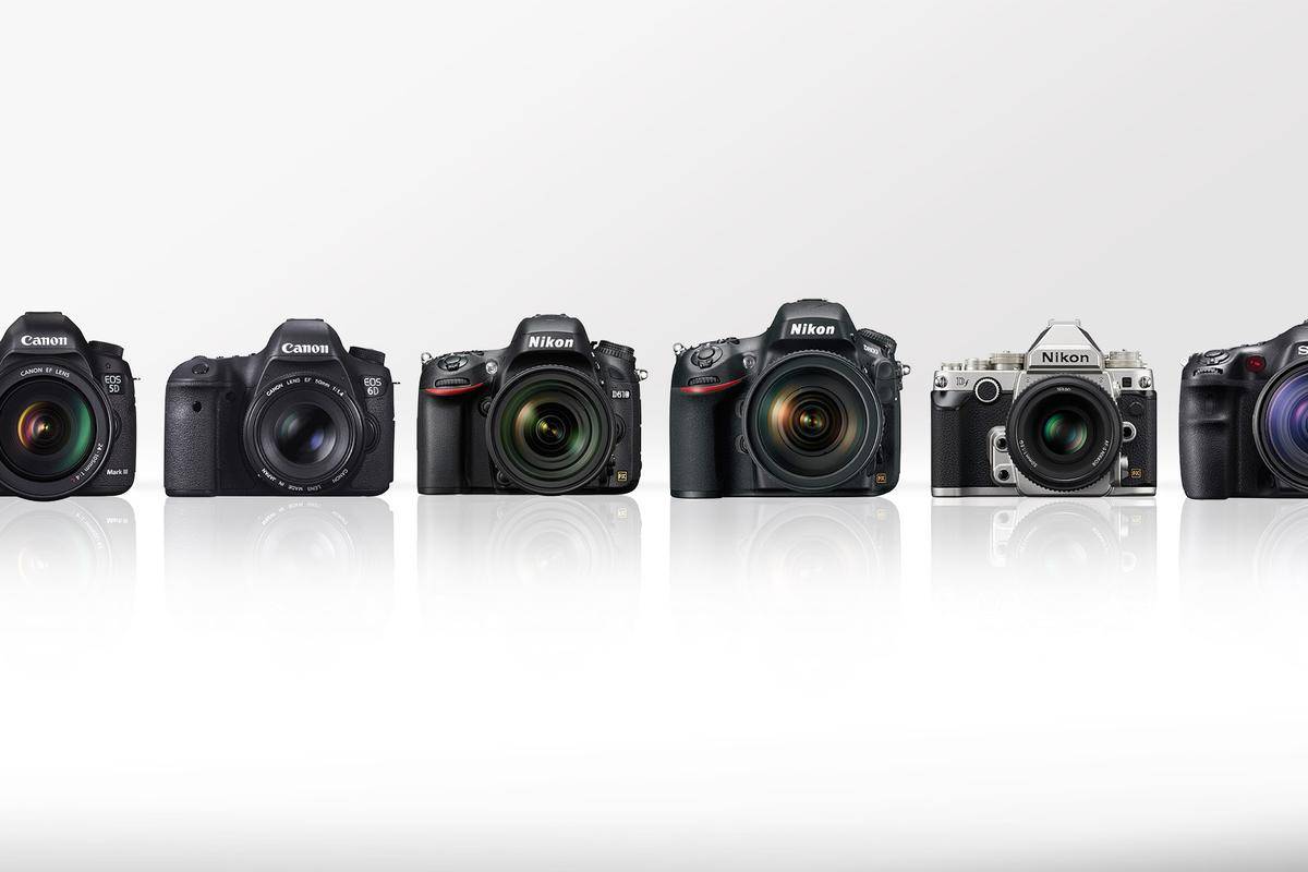 Canon или nikon. сравнение: сравнить что лучше, что выбрать?
