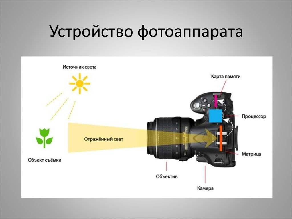 Как устроен цифровой зеркальный фотоаппарат