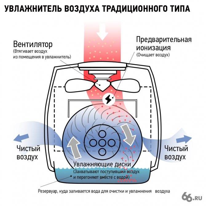 Как выбрать увлажнитель воздуха с ионизатором