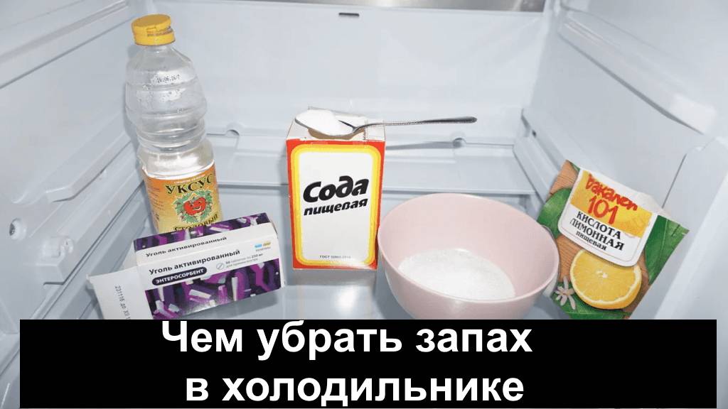 Плесень в холодильнике (грибок) — как убрать, избавиться, отмыть, чем обработать, вывести, удалить, на резинке, черная плесень, быстро, что делать, чем опасна