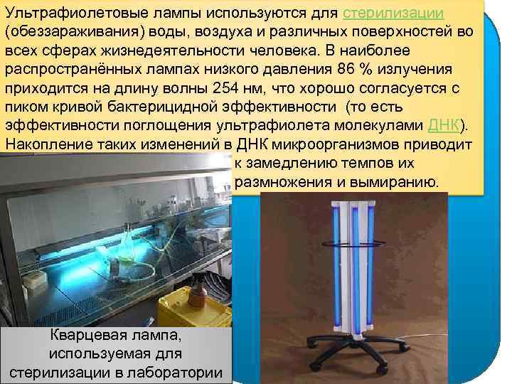 Воздушный стерилизатор или сухожаровой шкаф: где применяют, как использовать, чем хорош - kupihome.ru