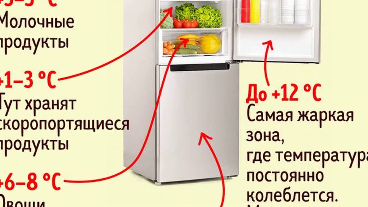 Где в холодильнике холоднее вверху или внизу