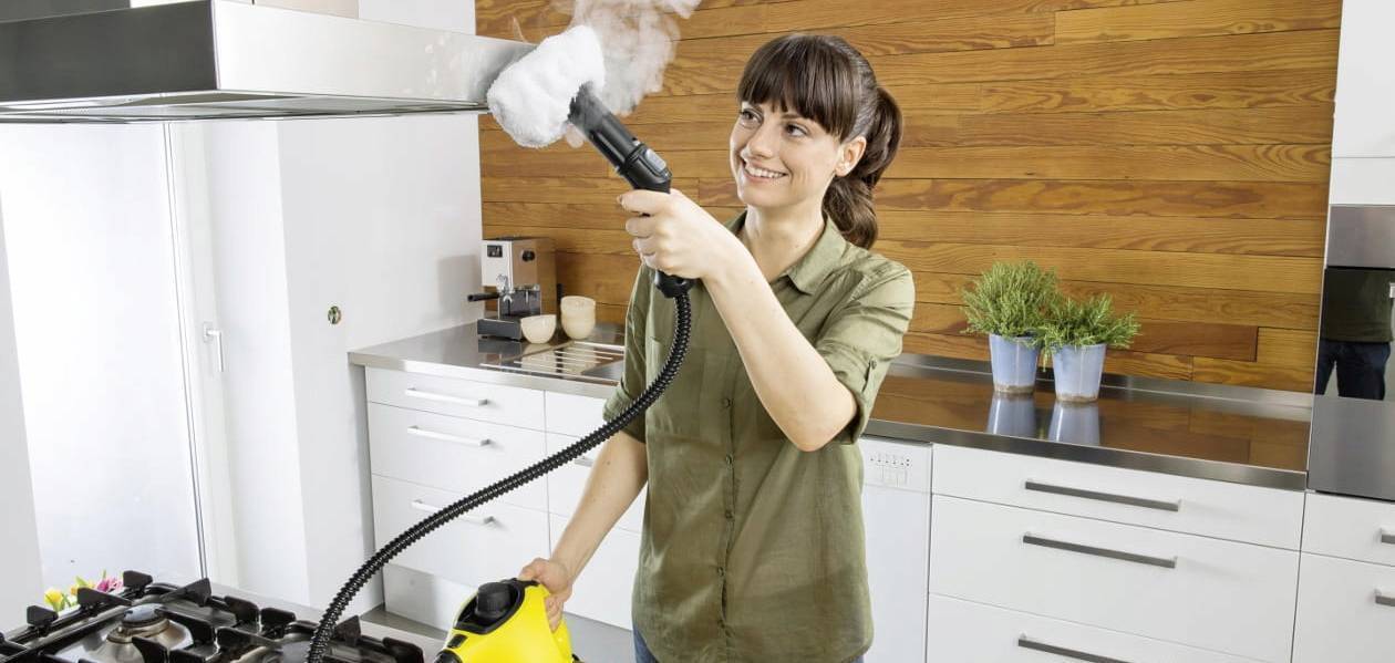 Парогенератор для уборки квартиры: разновидности, эффективность, характеристики