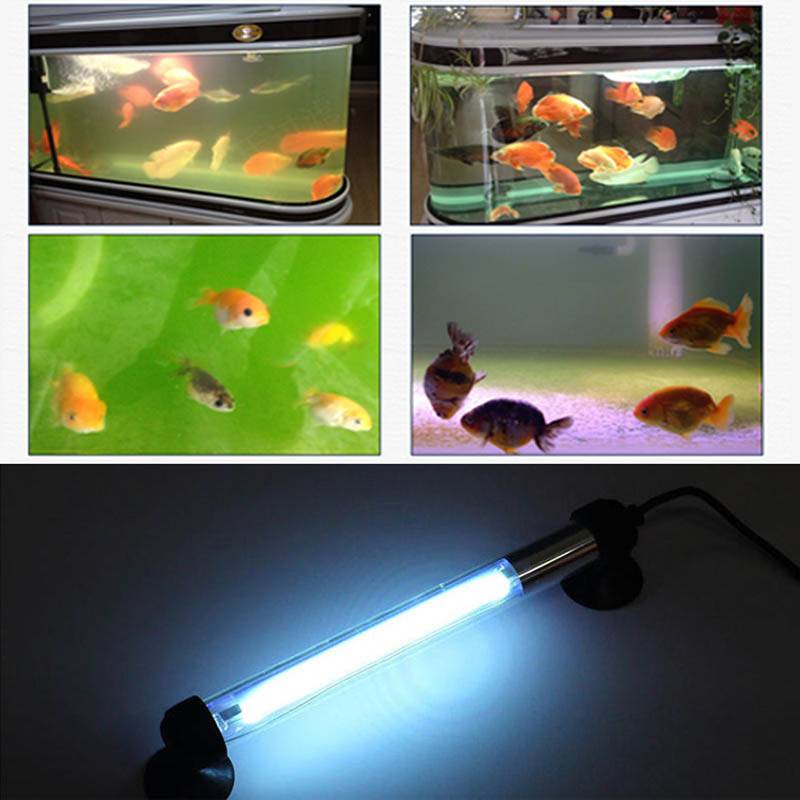 Уф-стерилизатор для аквариумов: зачем нужна кварцевая лампа и ультрафиолет для воды