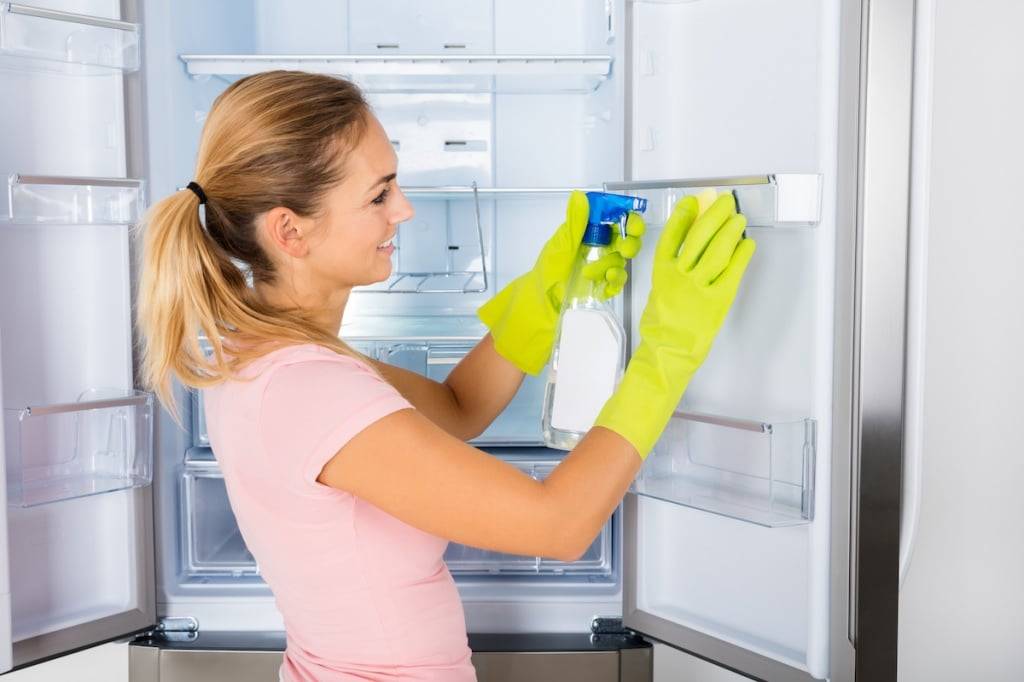 Как быстро и надолго устранить неприятные запахи в холодильнике