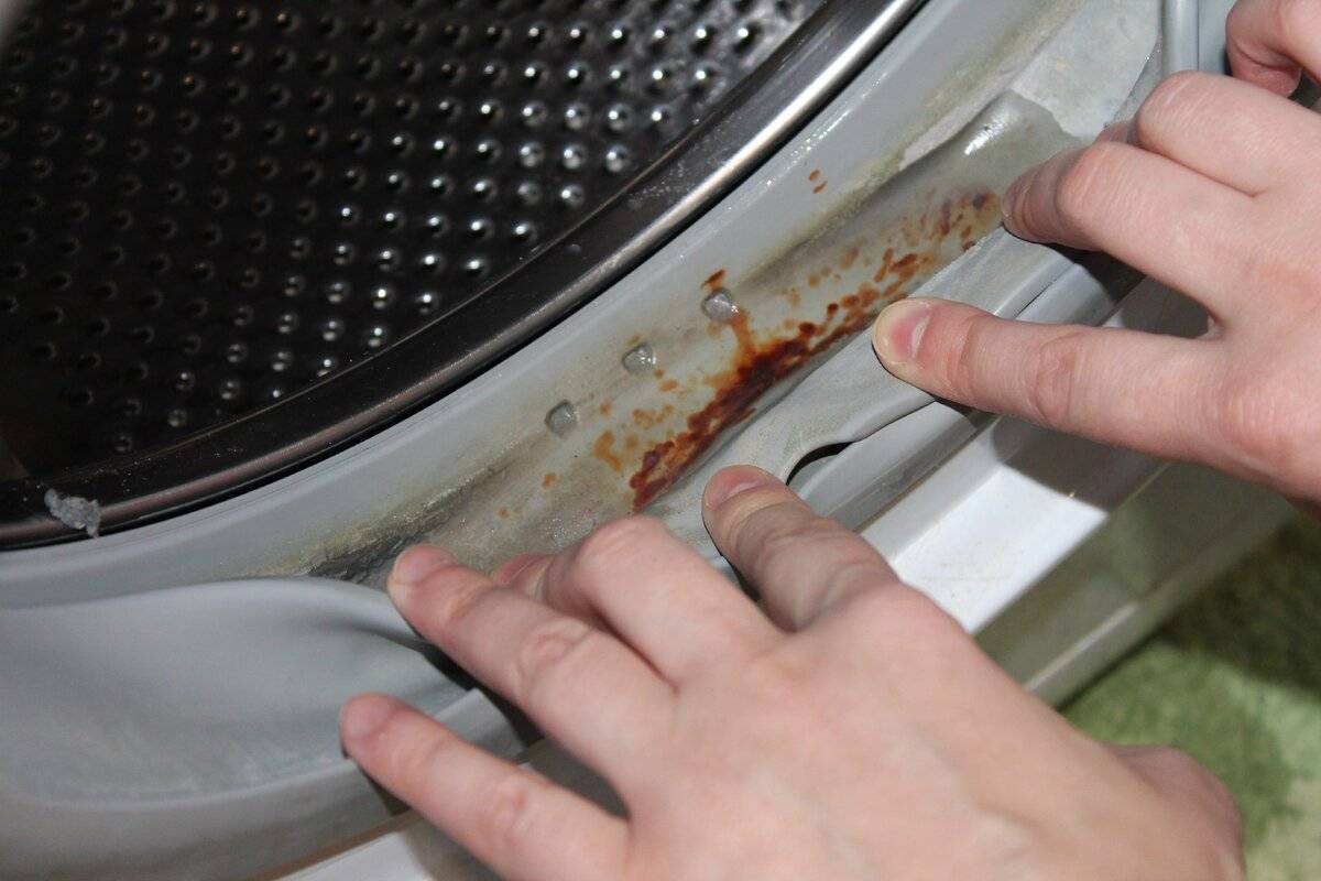 Плесень в стиральной машине и как от неё избавиться навсегда