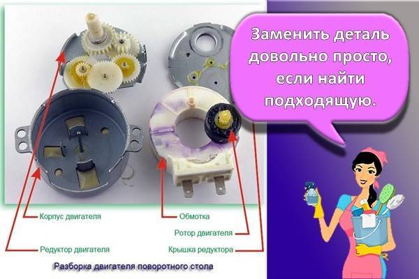 Не крутится тарелка в микроволновке: возможные причины - kupihome.ru
