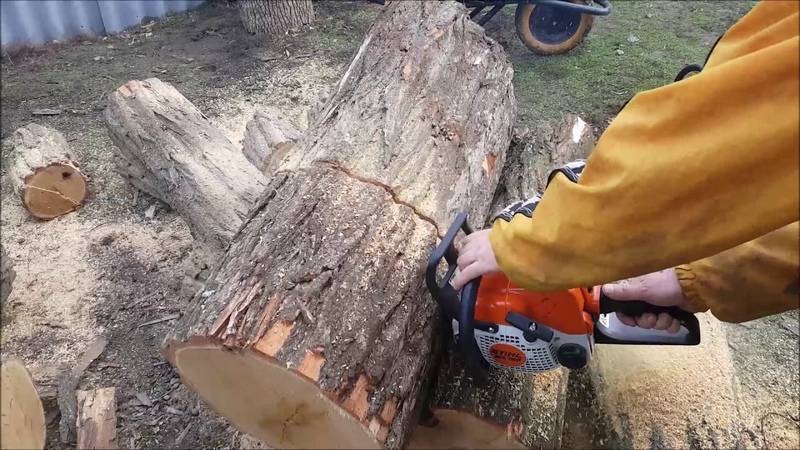 Как пилить бензопилами деревья пошаговая инструкция
