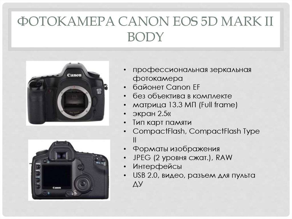 Топ-9 лучших фотоаппаратов для начинающих 2023 года в рейтинге biokot