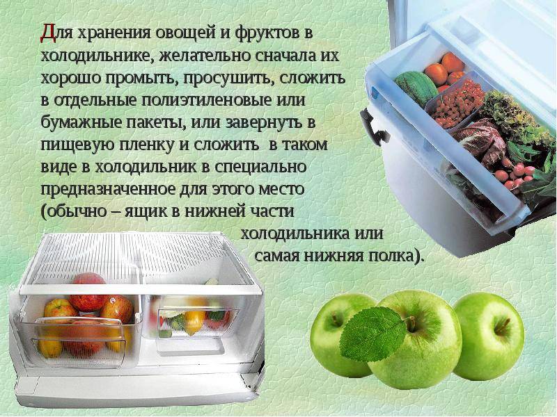 Хранение продуктов в холодильнике: что мы ставим туда зря