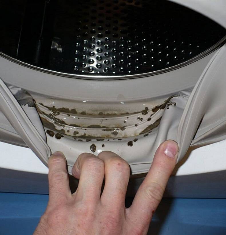 Как избавиться от плесени в стиральной машине простым и быстрым способом