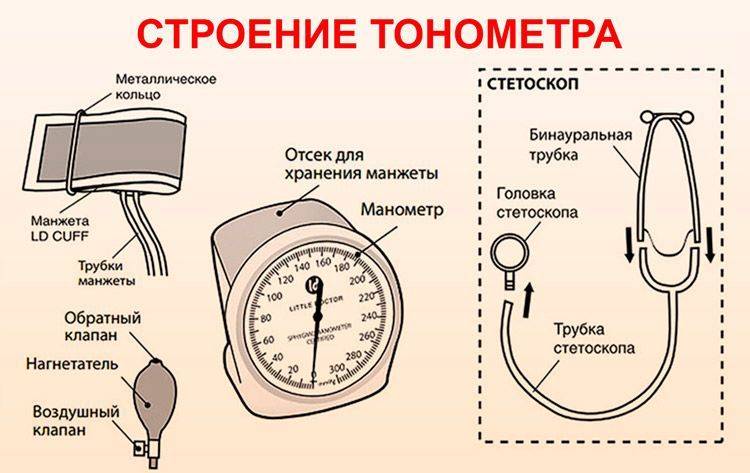 Как правильно мерить давление электронным тонометром: частота измерений, выбор аппарата