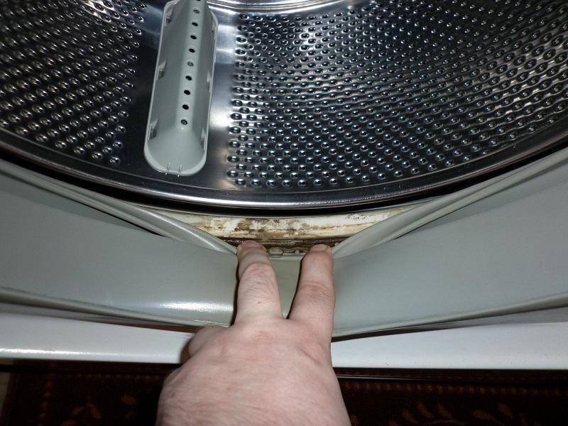 Черная плесень в стиральной машине