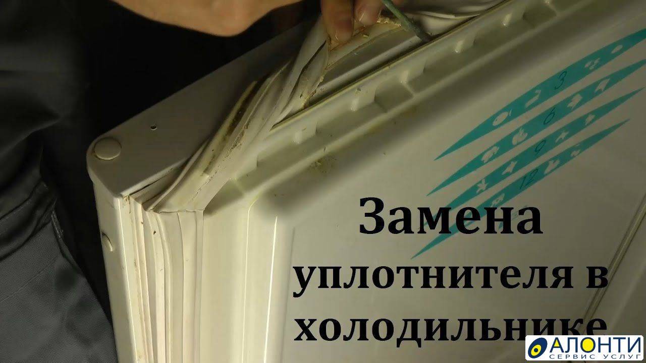 Как установить уплотнительную резинку на холодильник атлант