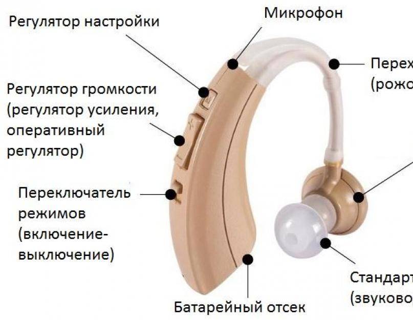 Какой слуховой аппарат лучше выбрать для пожилого человека: рейтинг и обзор. лучшие слуховые аппараты