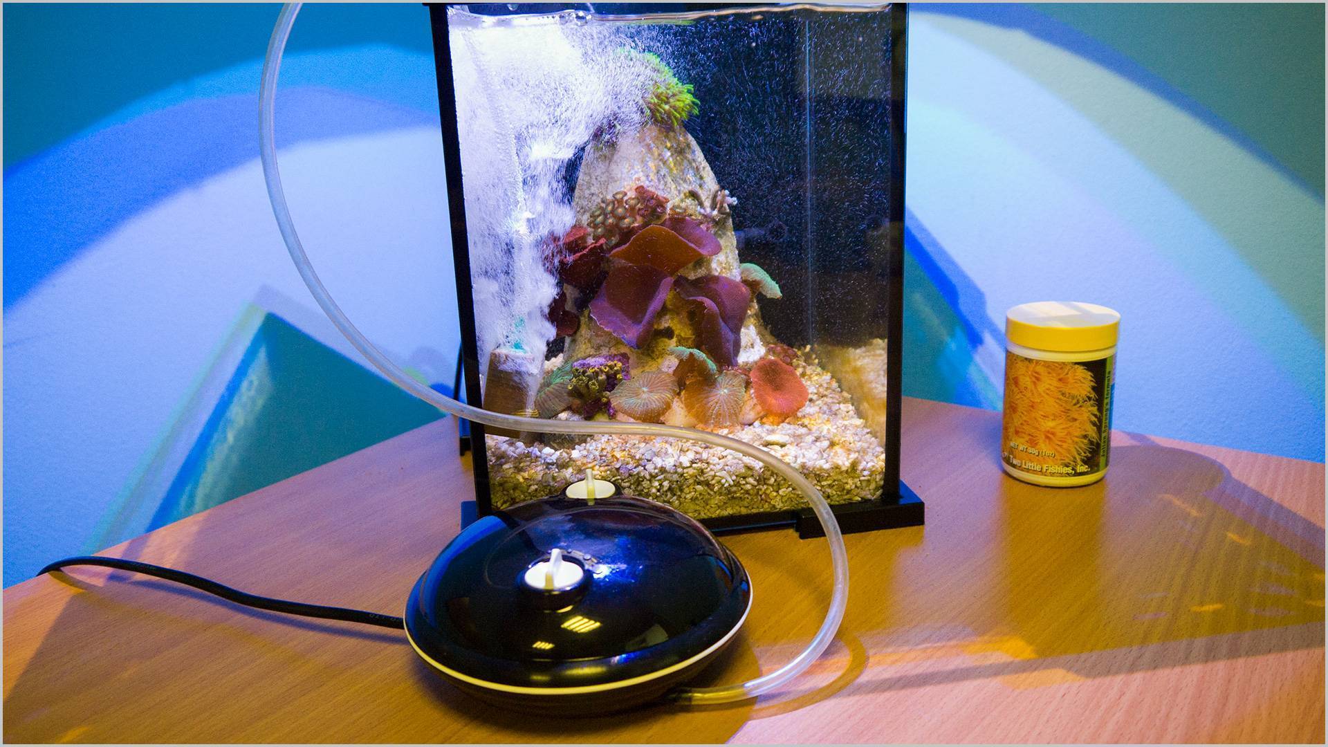 У меня живёт золотая рыбка: лучшие компрессоры для аэрации аквариумов 2023