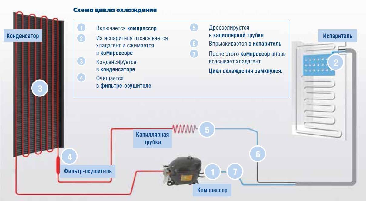 Сколько должен работать холодильник при первом включении? - kupihome.ru