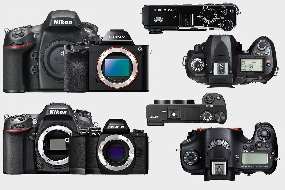 Лучшие беззеркальные фотоаппараты canon: как выбрать и какой купить? рейтинг