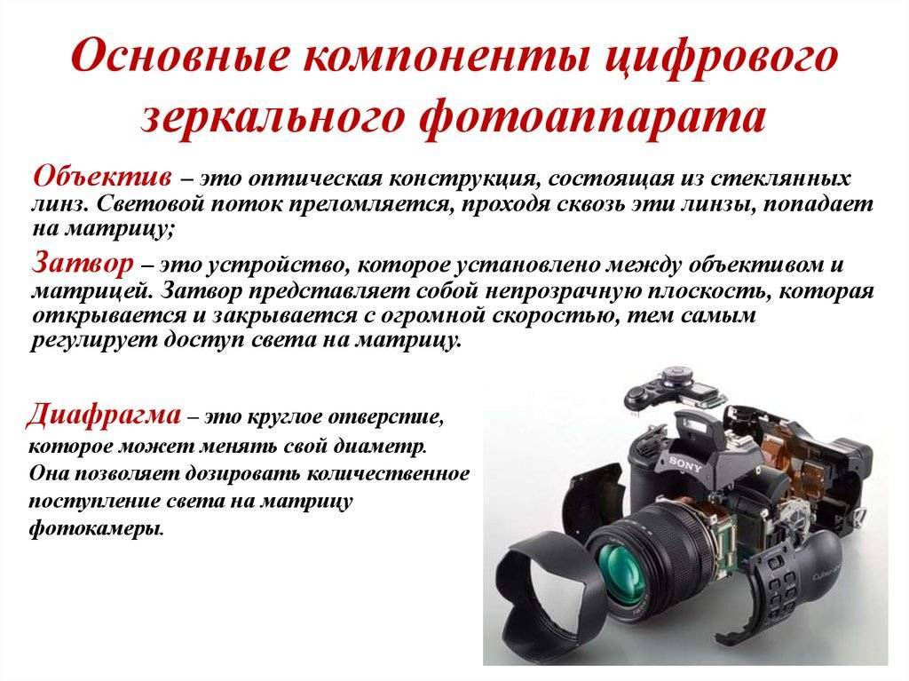В чем отличие между зеркальным, беззеркальным и компактным цифровыми фотоаппаратами - kupihome.ru
