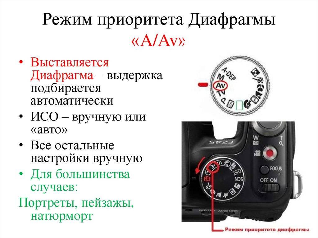 Как настроить фотоаппарат, каковы основные настройки фотоаппарата (canon, nikon)?