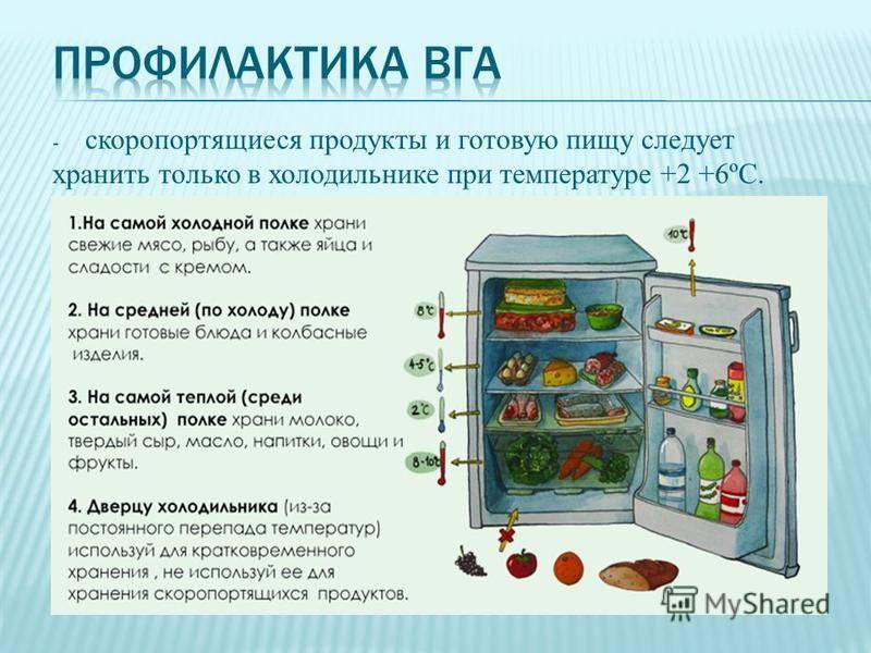 Правила хранения продуктов в холодильнике - четыре вкуса - 25 июля - 43849045657 - медиаплатформа миртесен