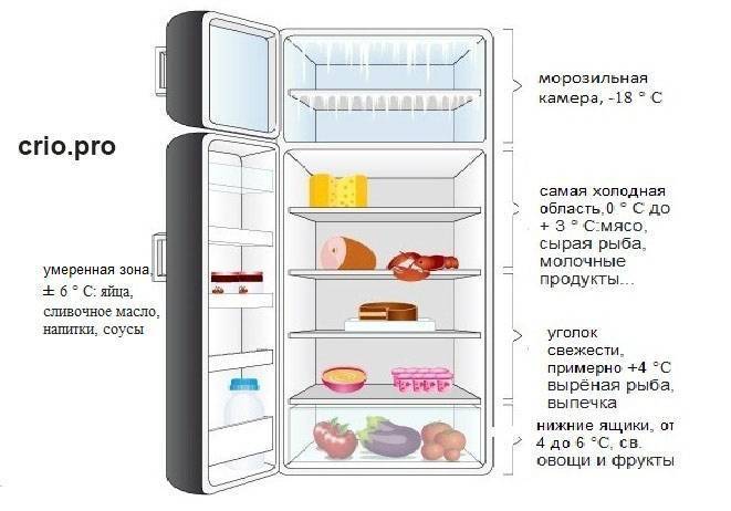 Правильное первое включение нового холодильника: инструкция, советы