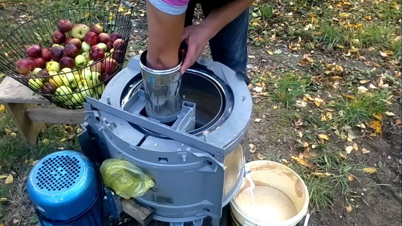 Справиться с небывалым урожаем яблок садоводам поможет соковыжималки большой производительности