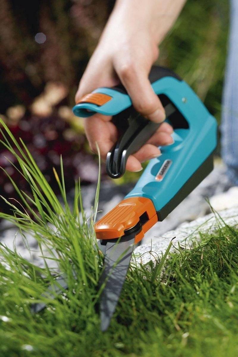 Садовые ножницы: как выбрать помощника для стрижки кустов и газонной травы