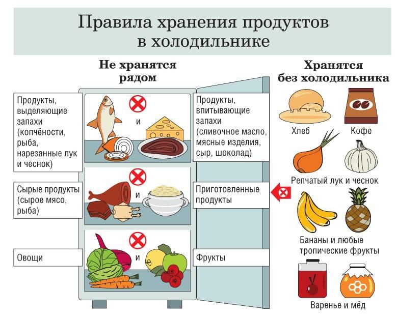 Как правильно хранить продукты в холодильнике: главные советы | ichip.ru