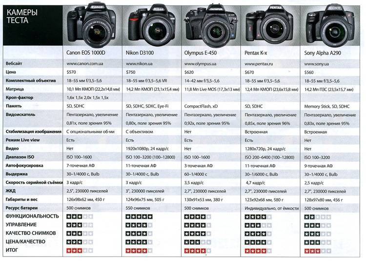 Лучшие зеркальные фотоаппараты для начинающих фотографов: выбор недорогого и хорошего, топ для новичка, тесты, сравнение