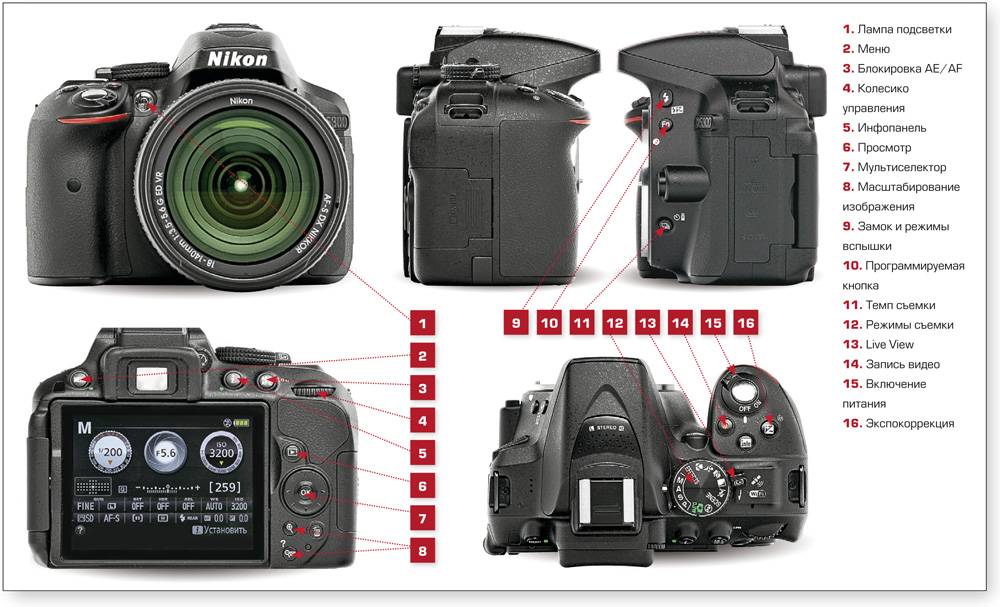 Лучшие фотоаппараты для начинающих: выбираем по функционалу, качеству, цене