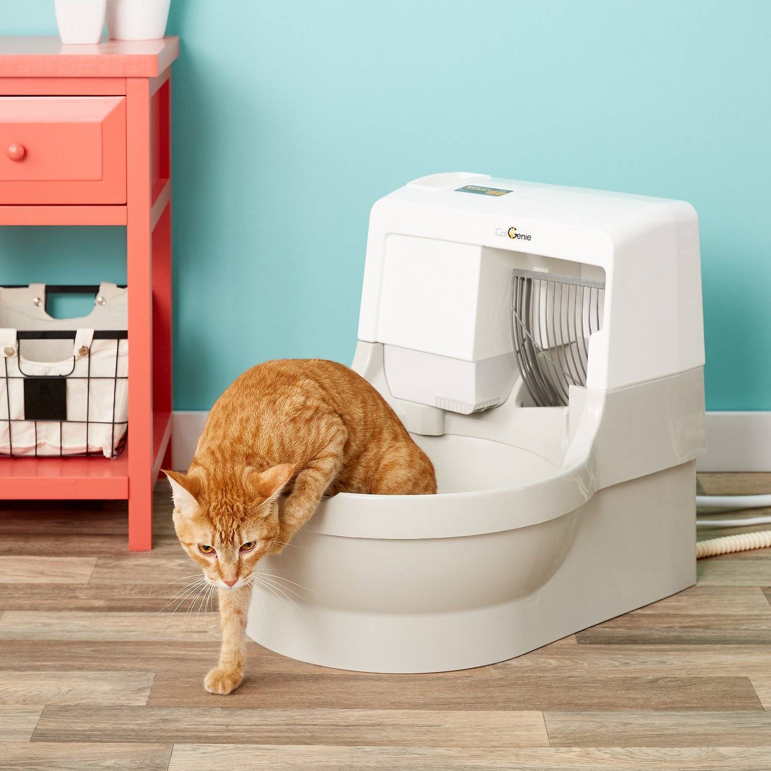Биотуалет для кошки: плюсы и минусы самоочищающихся закрытых туалетов для кошек