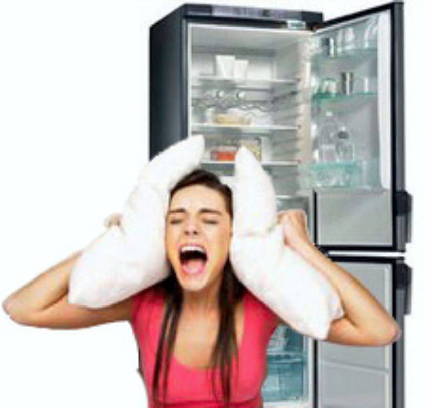 Сильно шумит холодильник: что делать, устранение причин шума