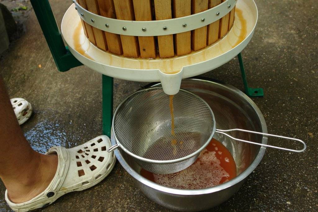 Заготовка фруктовых напитков без соковыжималки: яблочный сок в домашних условиях