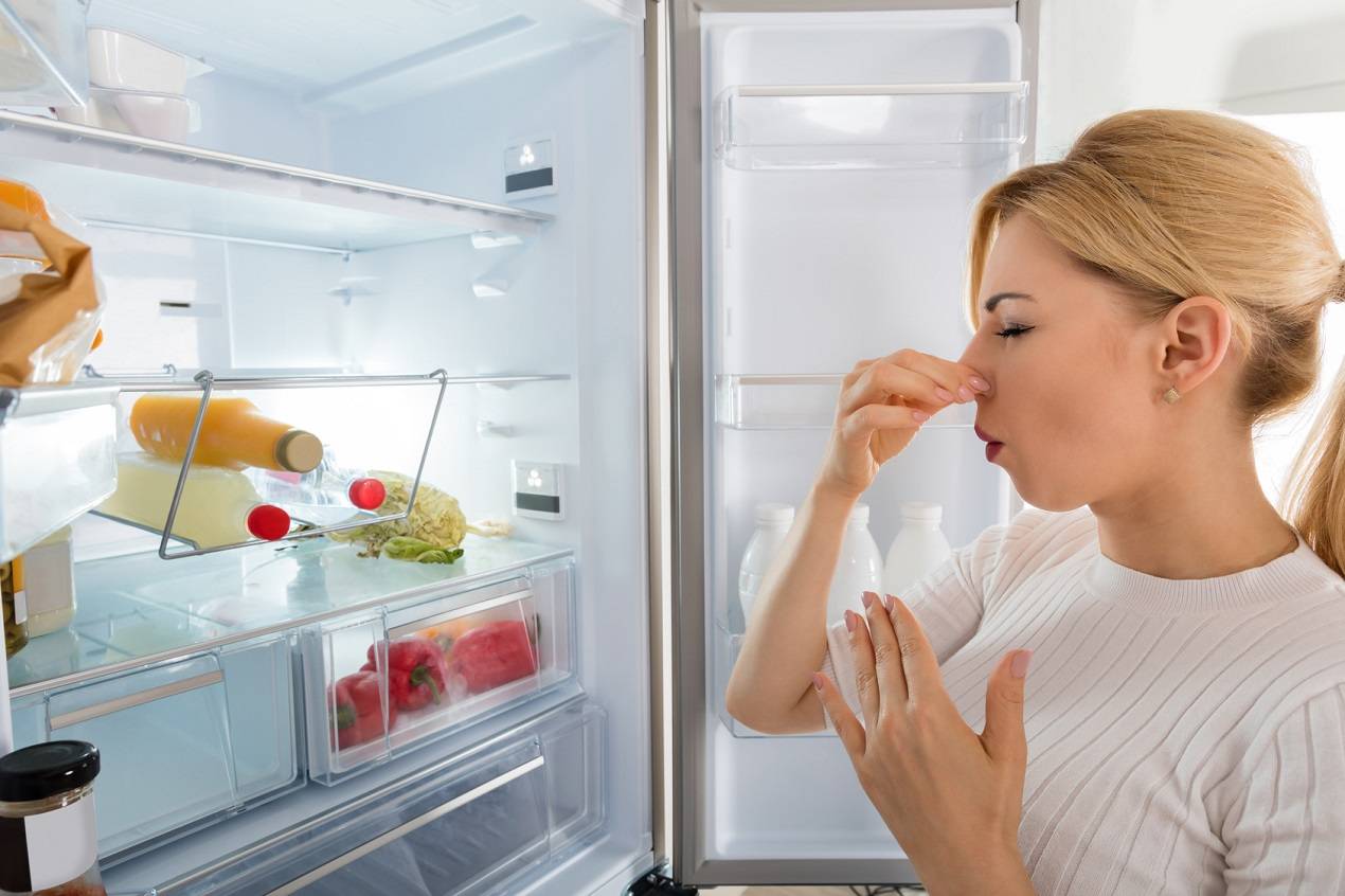Как убрать запах из холодильника: полное пособие
