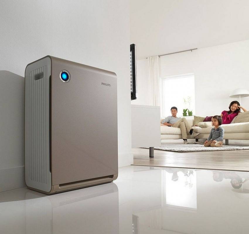 Ионизатор воздуха для квартиры: принцип работы, виды