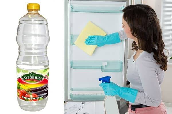 Плесень в холодильнике: как избавиться, чем обработать, средства, способы