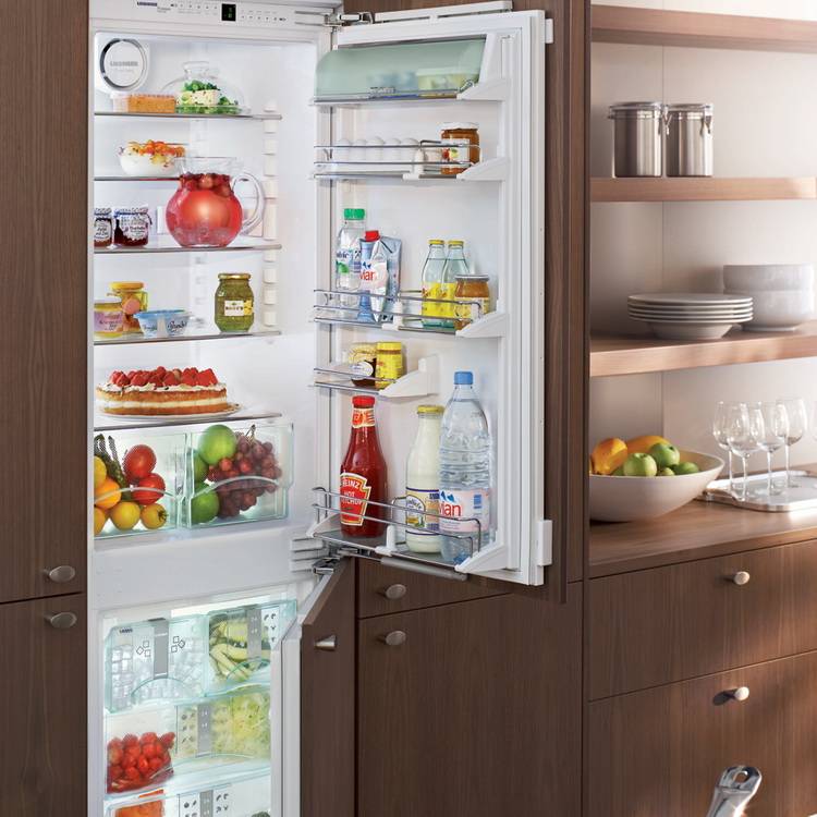Чем отличается встраиваемый холодильник от обычного: отличие, схожесть, плюсы, минусы, сравнительная таблица