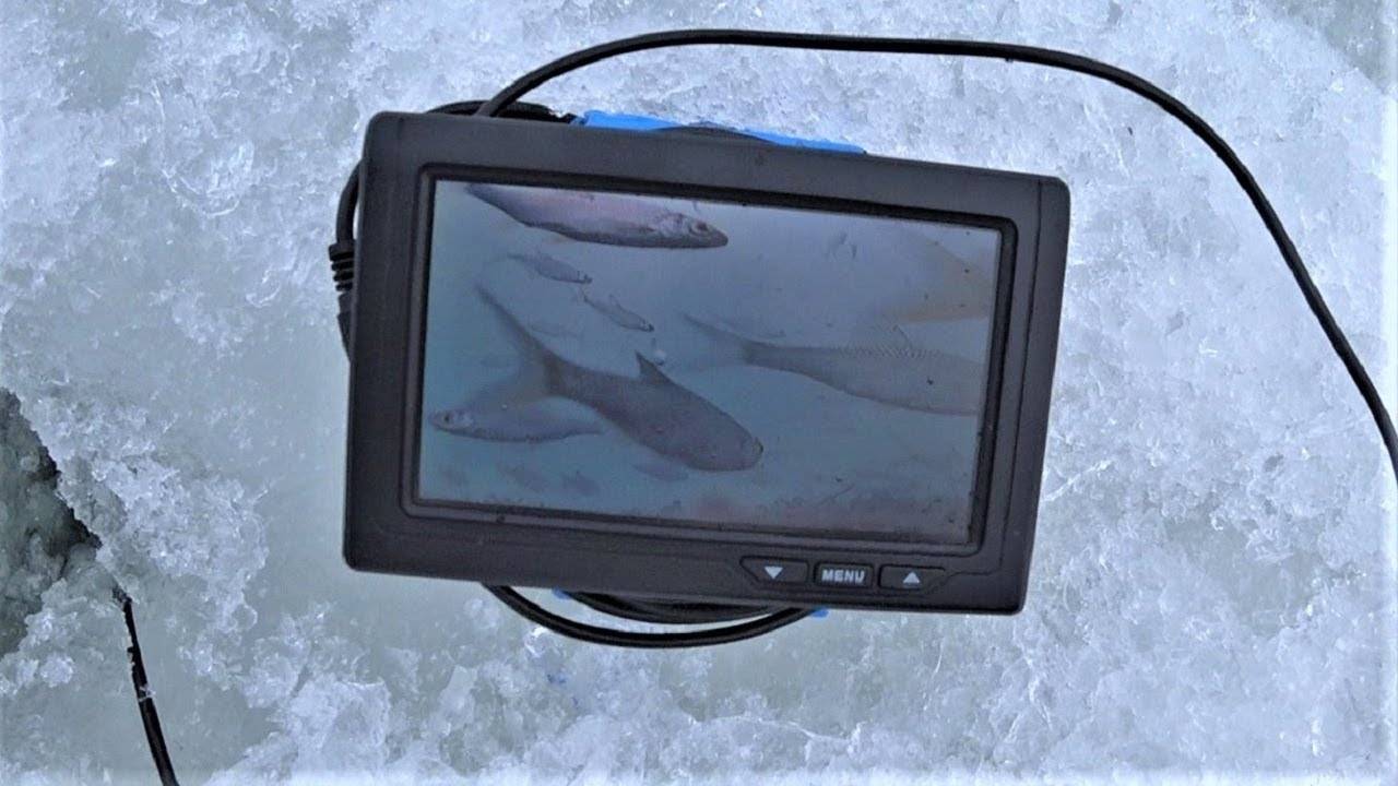 Лучшие подводные камеры для зимней рыбалки