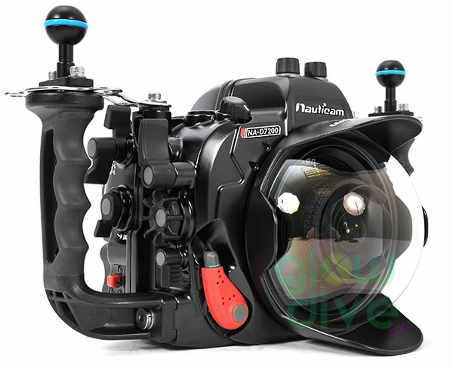 Лучшие камеры для съемки под водой: подробный обзор