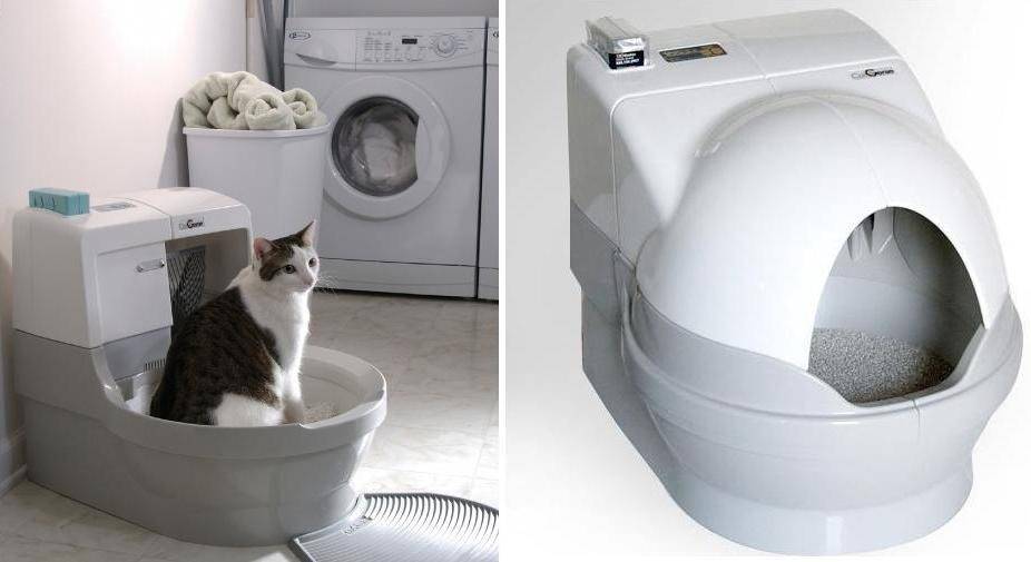 Сравнение автоматических туалетов для кошек. удобство для питомца