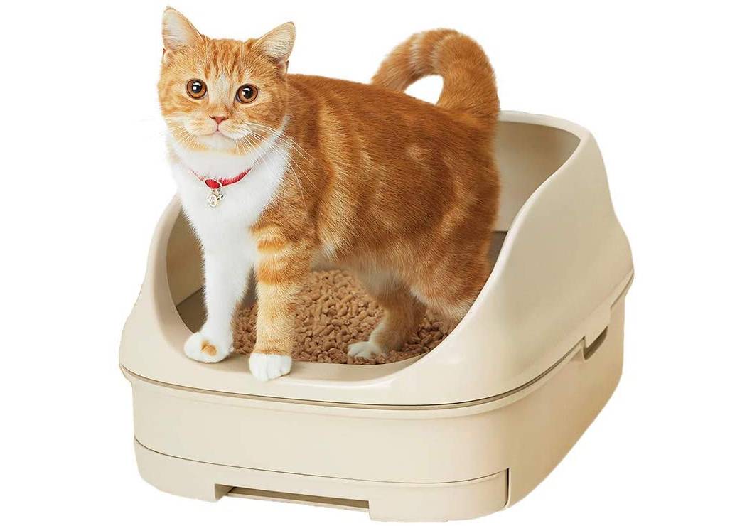 Рейтинг лучших туалетов (лотков) для кошек на 2023 год с достоинствами и недостакткками .