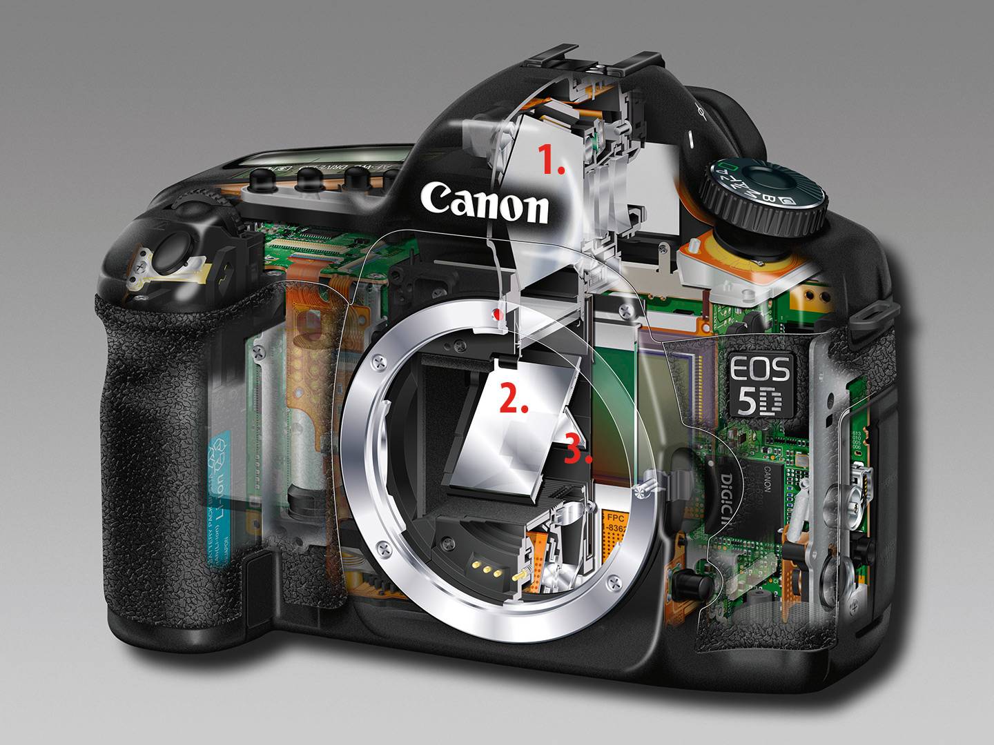 12 лучших фотоаппаратов с функцией видеосъемки - рейтинг 2022 | хороший выбор | дзен