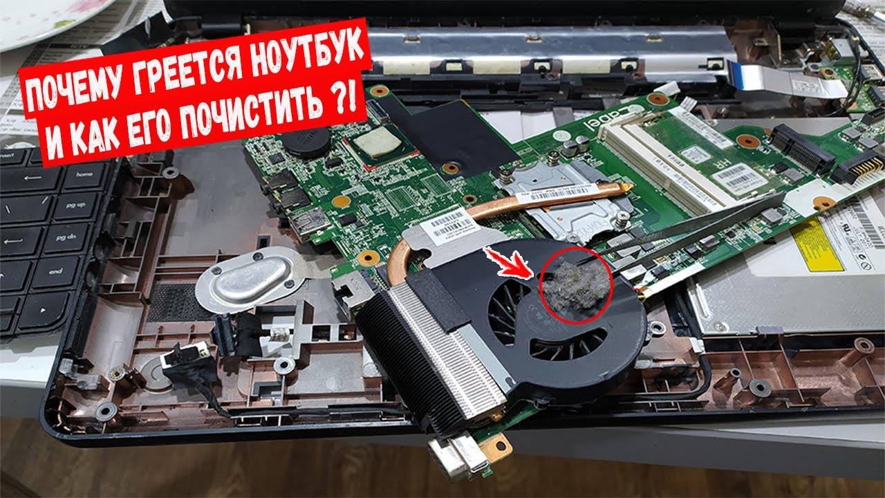 Ноутбук сильно греется и шумит что делать