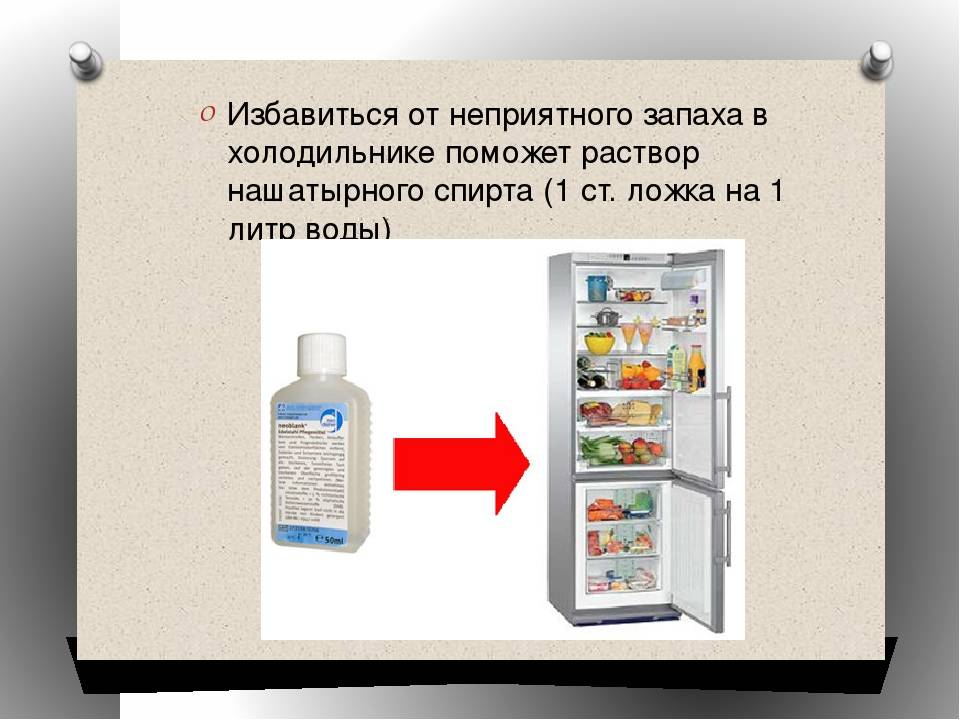 Как вывести плесень из холодильника