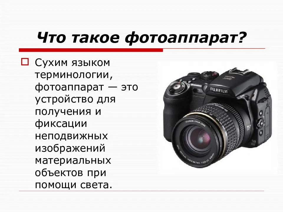 Какую фотокамеру купить для начинающего фотографа в 2020 году